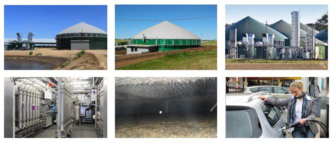 Biogas elektrane
